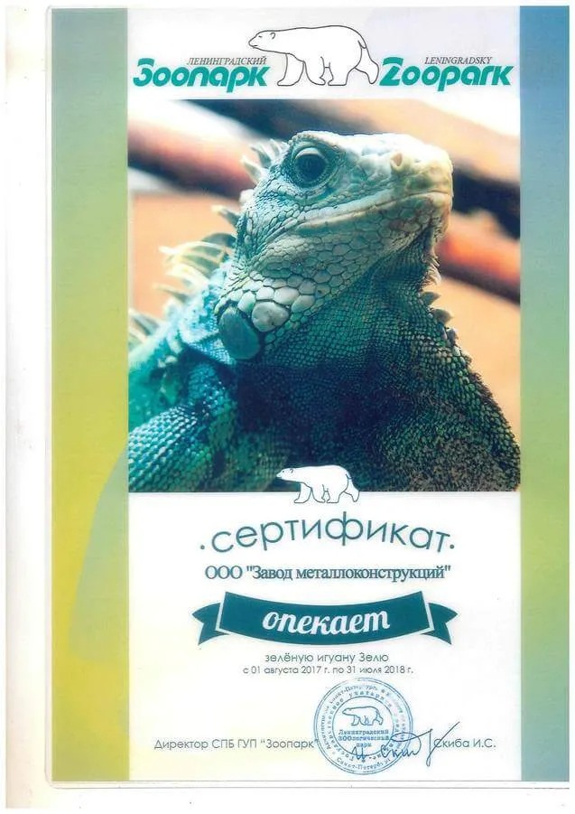 Sertifikat-opeki-iguana.jpg